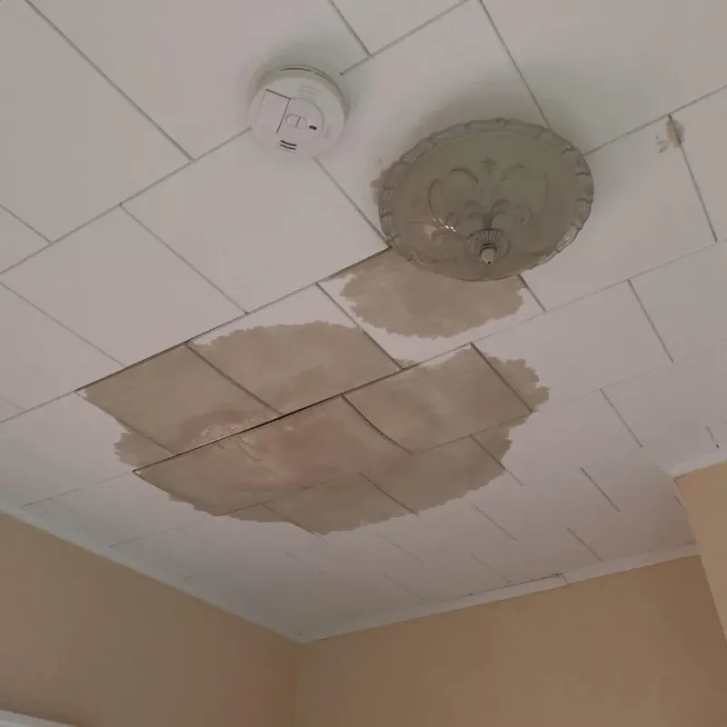 Ceiling Water Damage Repair in Bellevue, OH