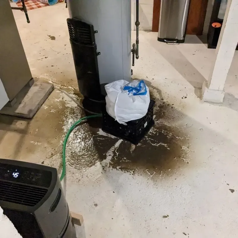 Sewage Backup Cleanup Service in Bellevue, OH